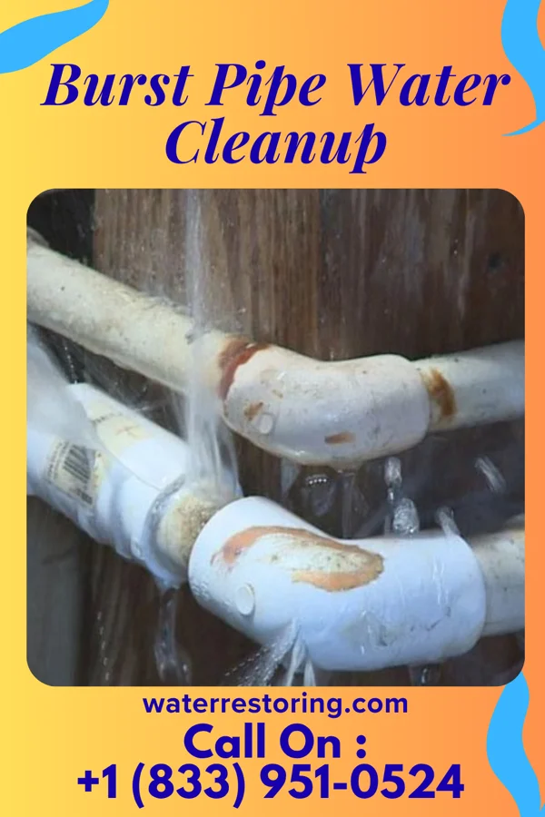 Burst Pipe Water Cleanup in Milledgeville, TN