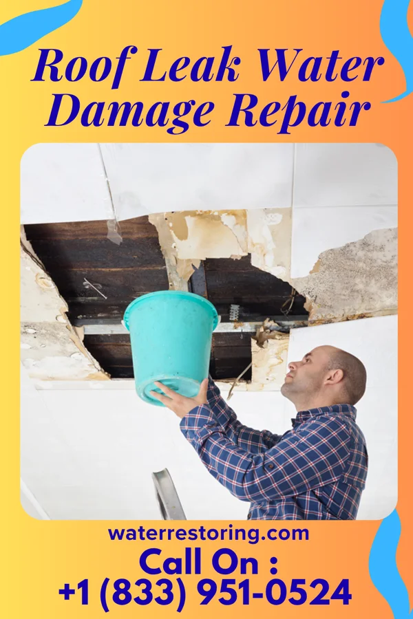 Roof Leak Water Damage Repair in Milledgeville, TN