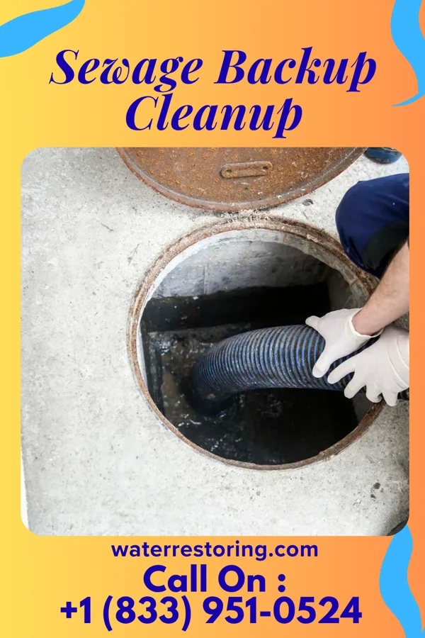 Sewage Backup Cleanup in Milledgeville, TN